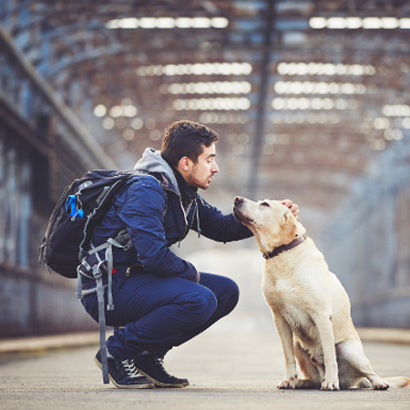 حەسەن جەمال