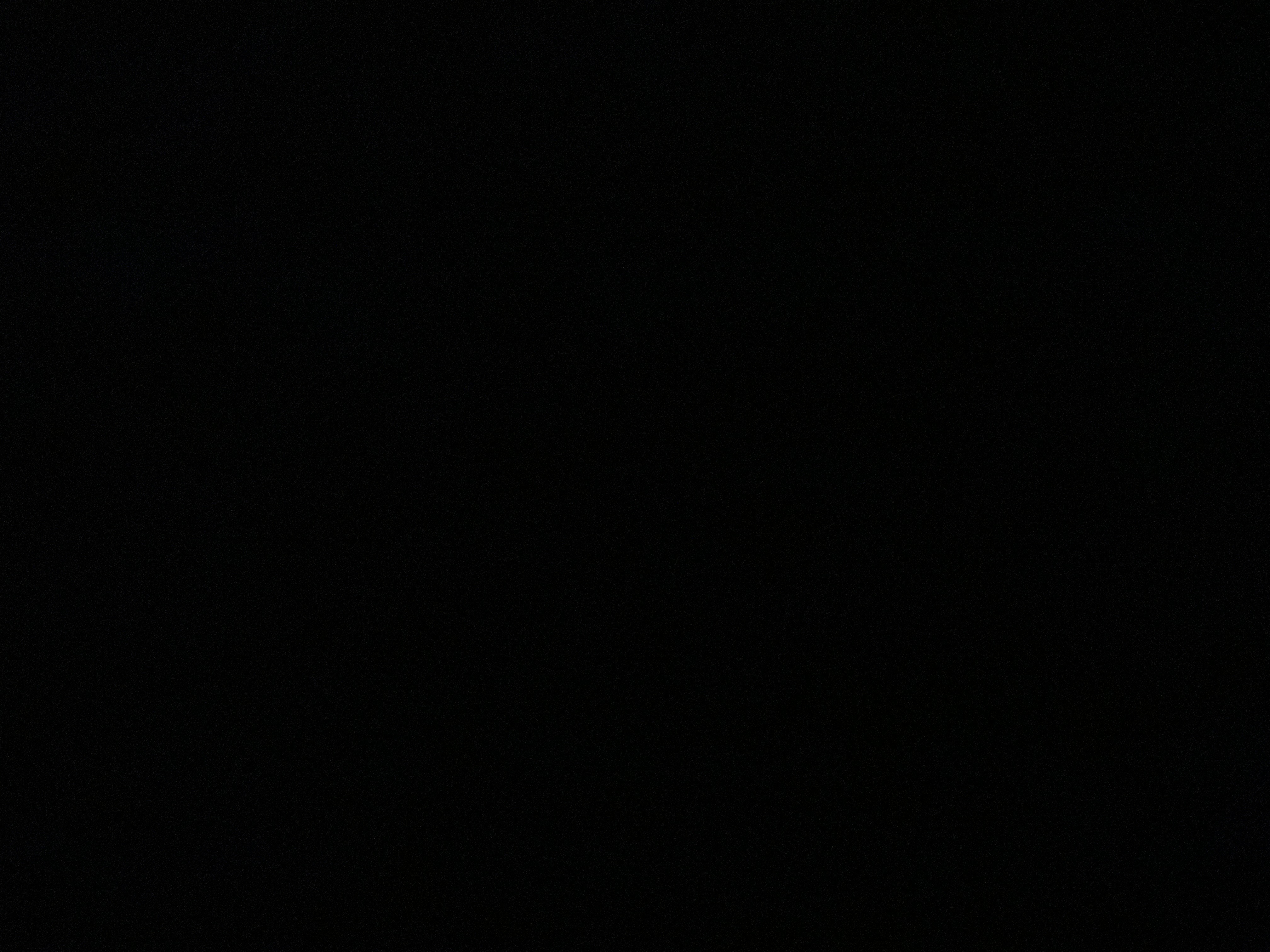 محمد دڵشاد
