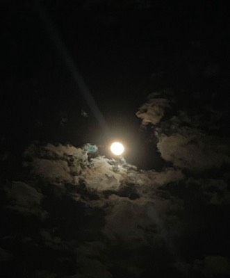 Moon