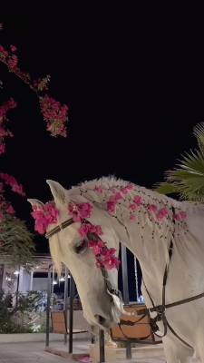 lɐuɐ༄✰