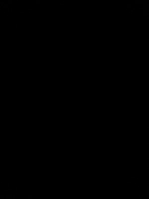 Kurd