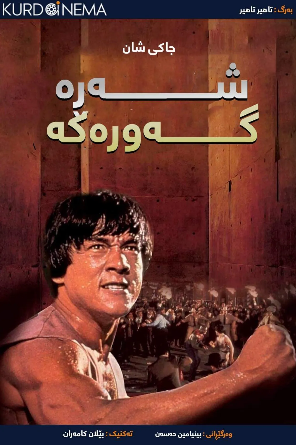 The Big Brawl (1980)