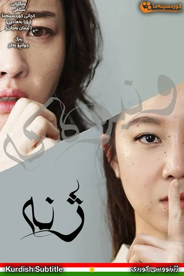 Missing Woman (2016)