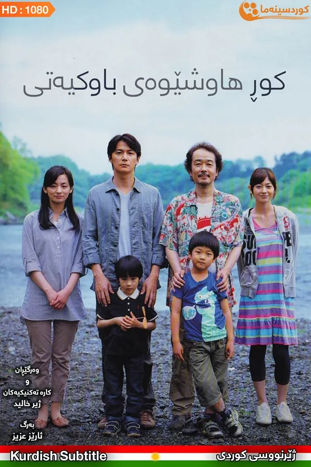 Like Father, Like Son (2013)