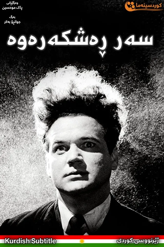 Eraserhead (1977)