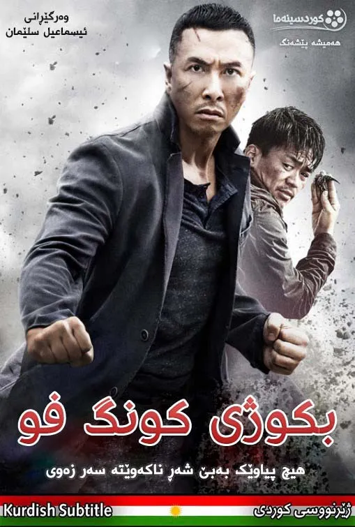 Kung Fu Jungle (2014)