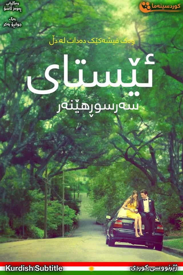 The Spectacular Now (2013)