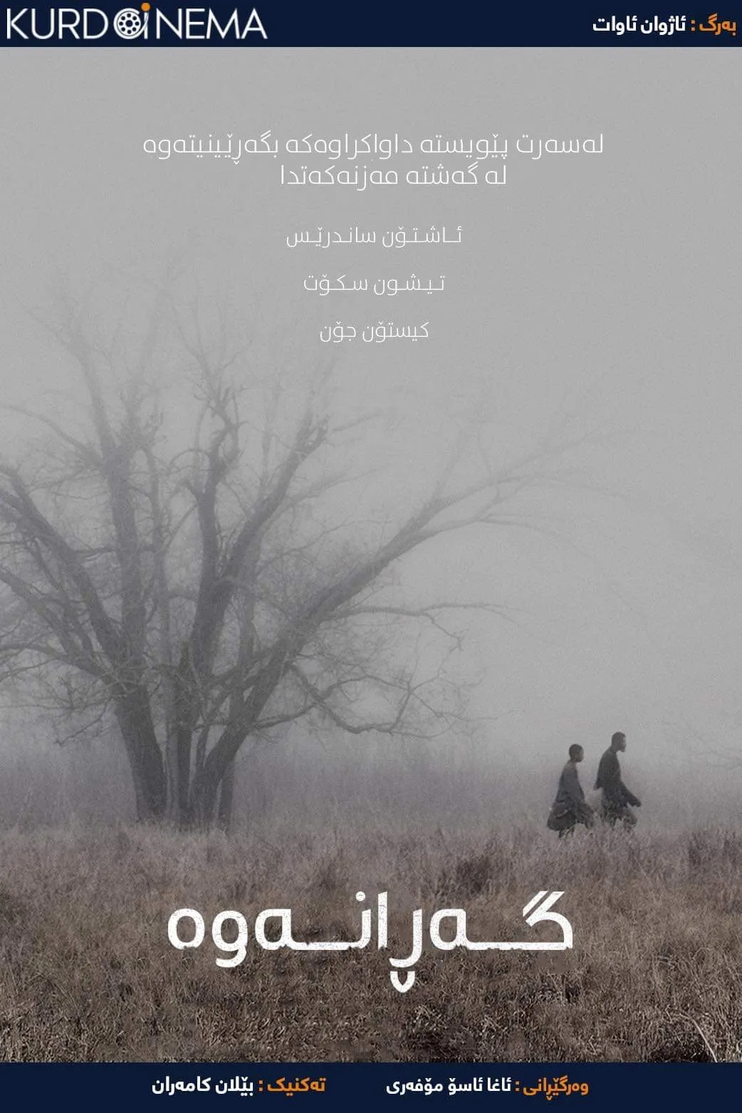 ‏The Retrieval (2013)