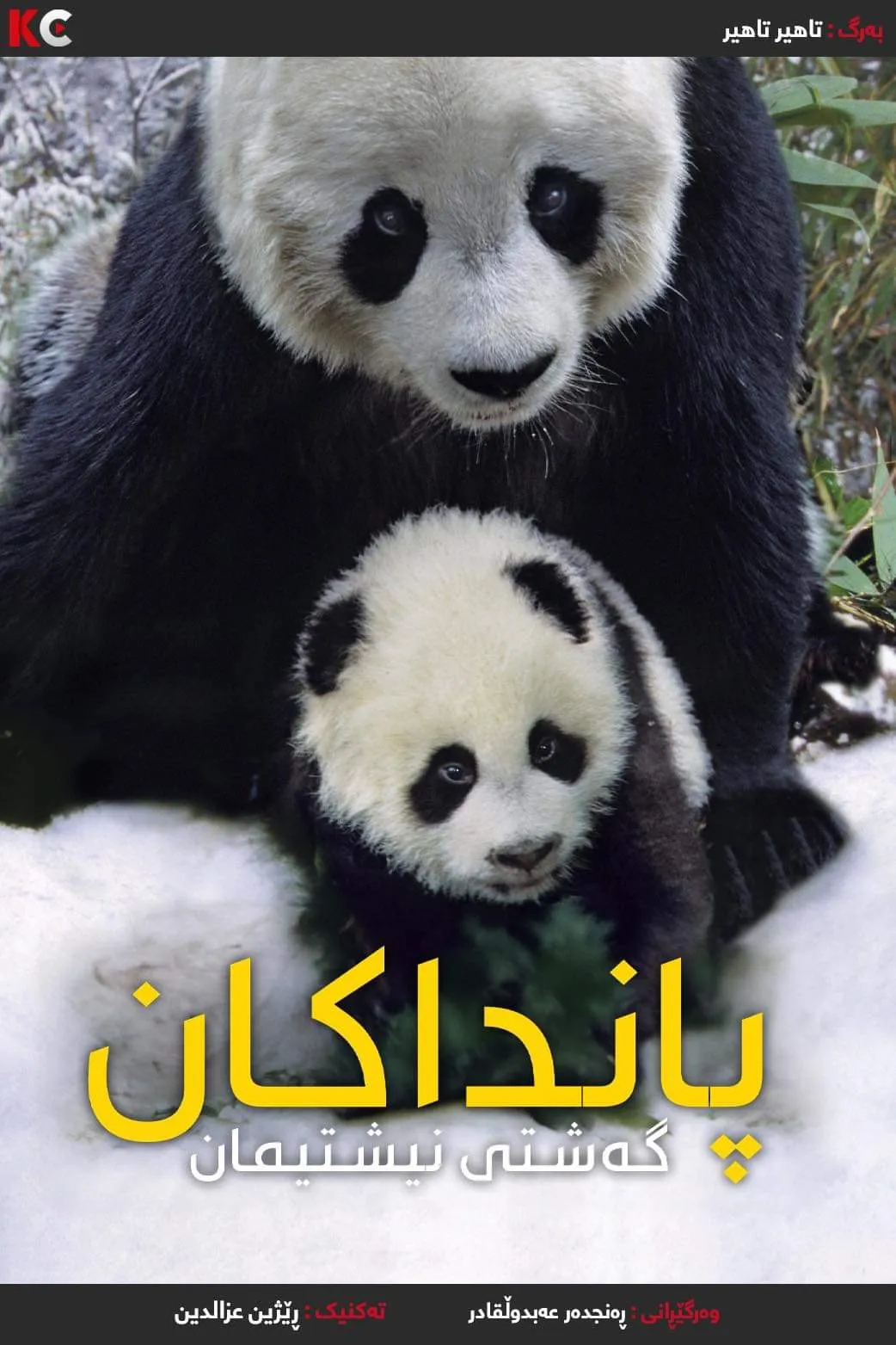 ‏Pandas: The Journey Home (2014)