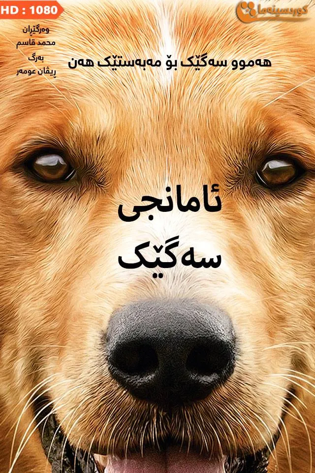 A Dog's Purpose (2017)