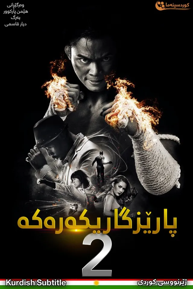 The Protector 2 (2013)