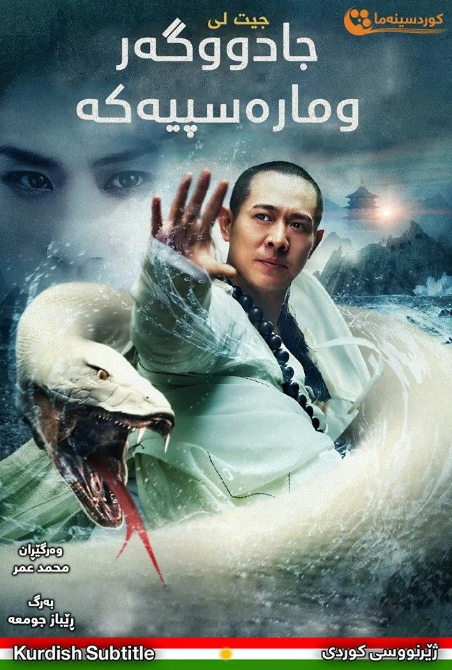  The Sorcerer and the White Snake (2011)