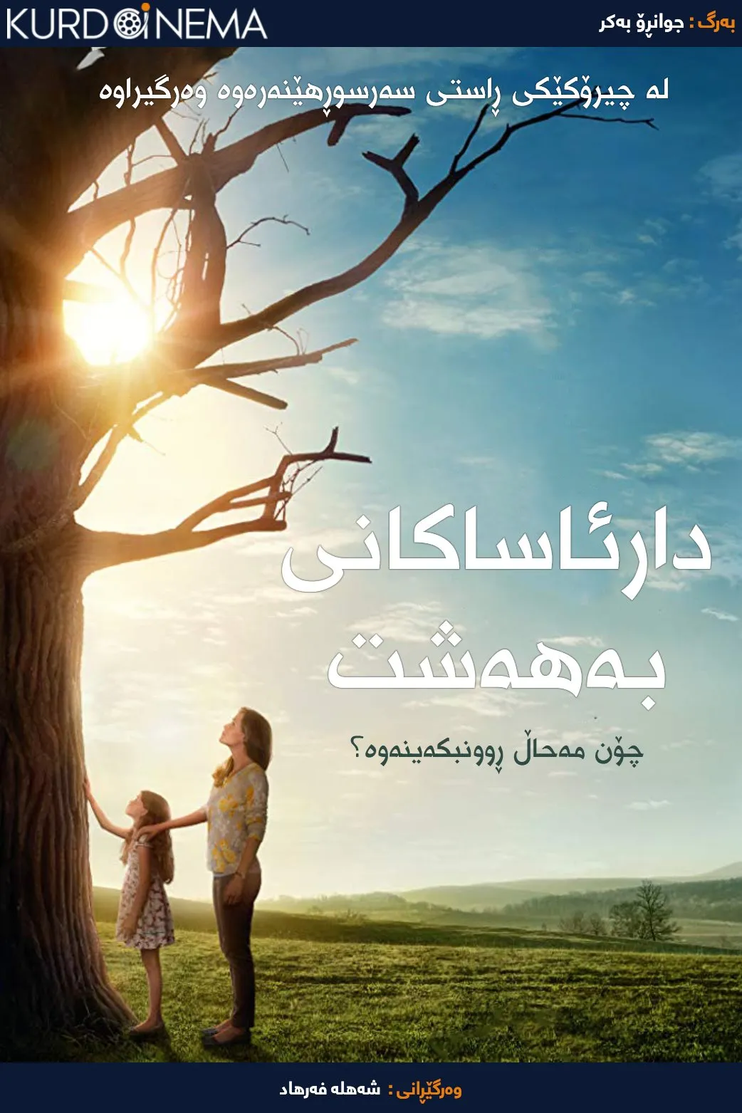 Miracles from Heaven (2016)