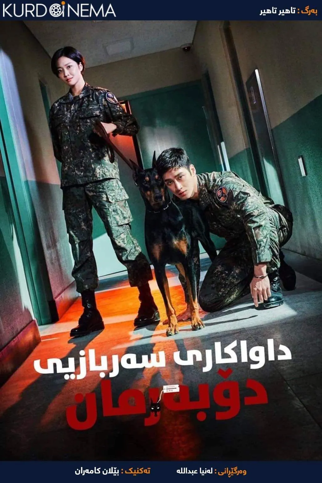 Military prosecutor doberman