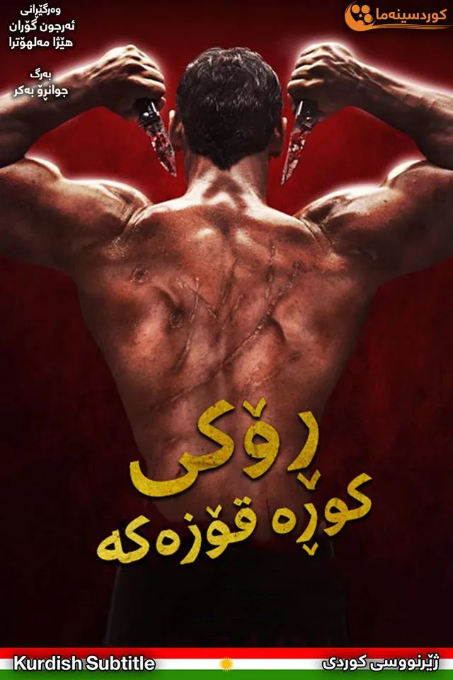 Rocky Handsome (2016)