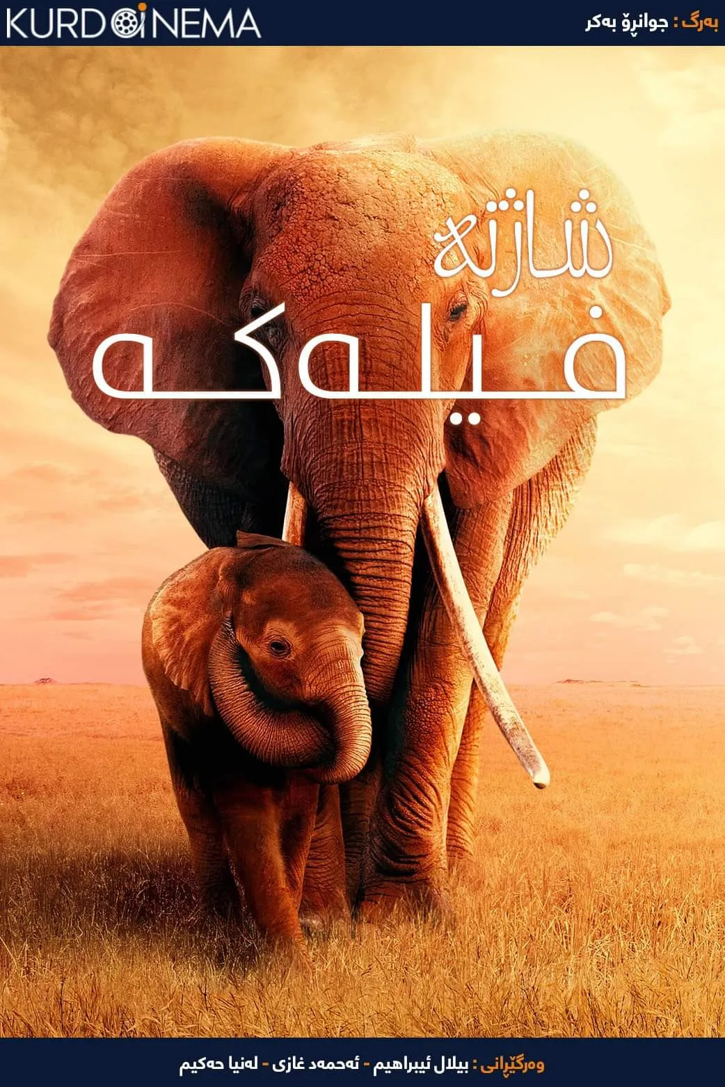 The Elephant Queen (2019)