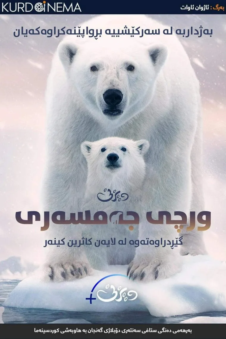 Polar Bear دۆبلاژی كوردی