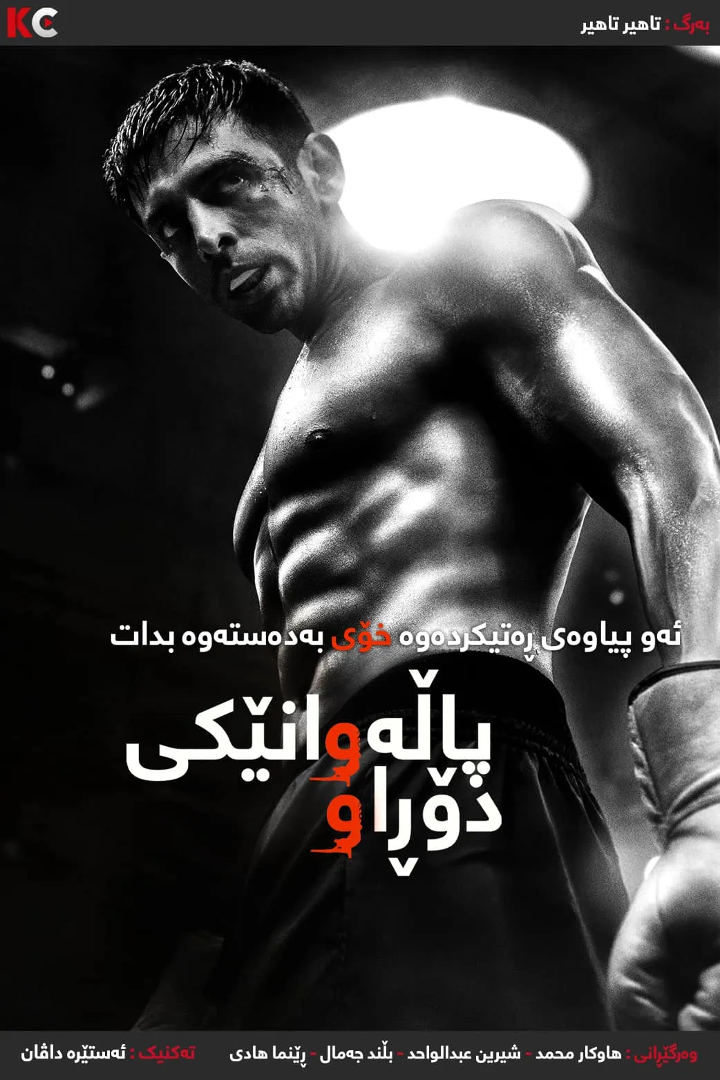 Chandu Champion (2024)