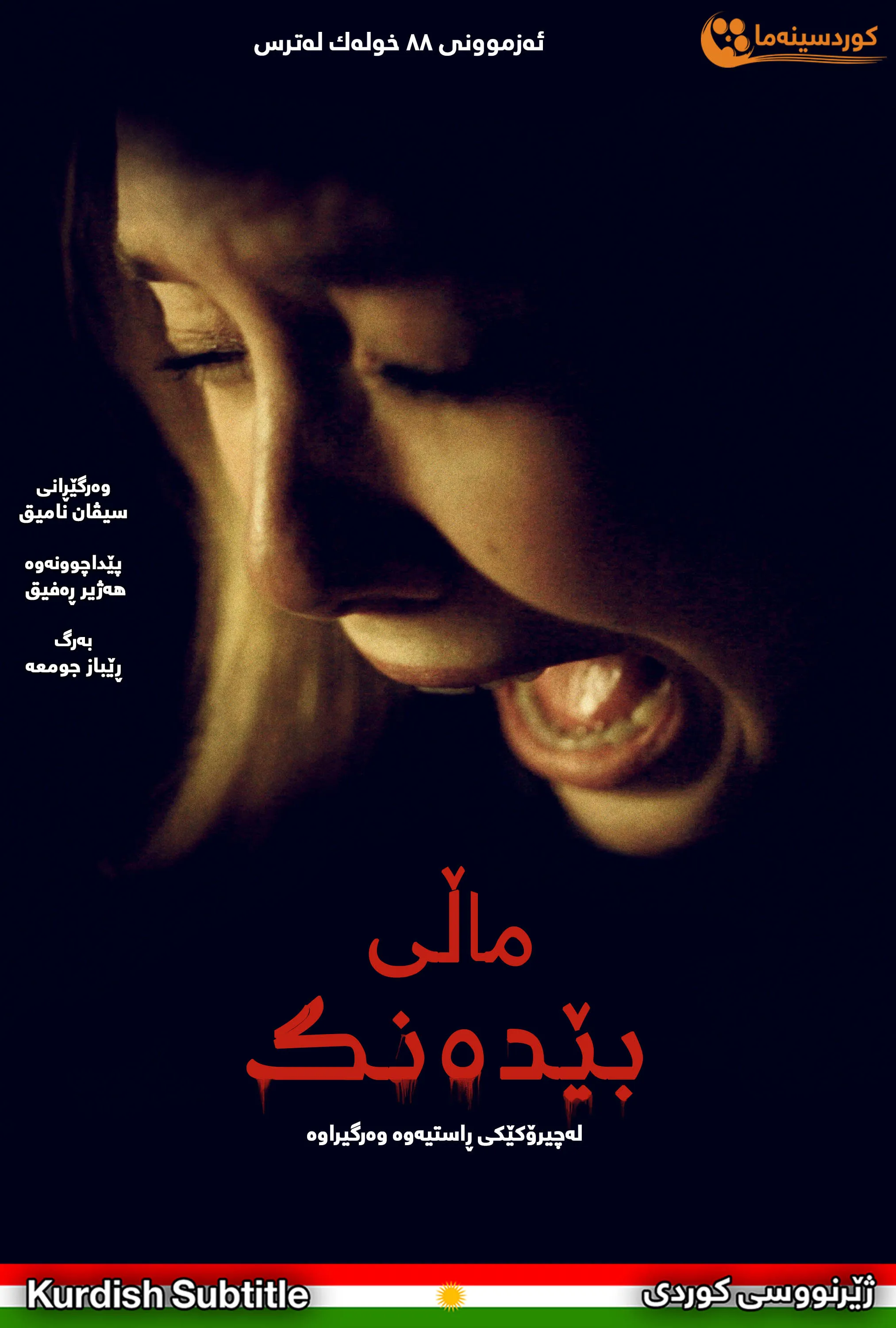  Silent House (2011)