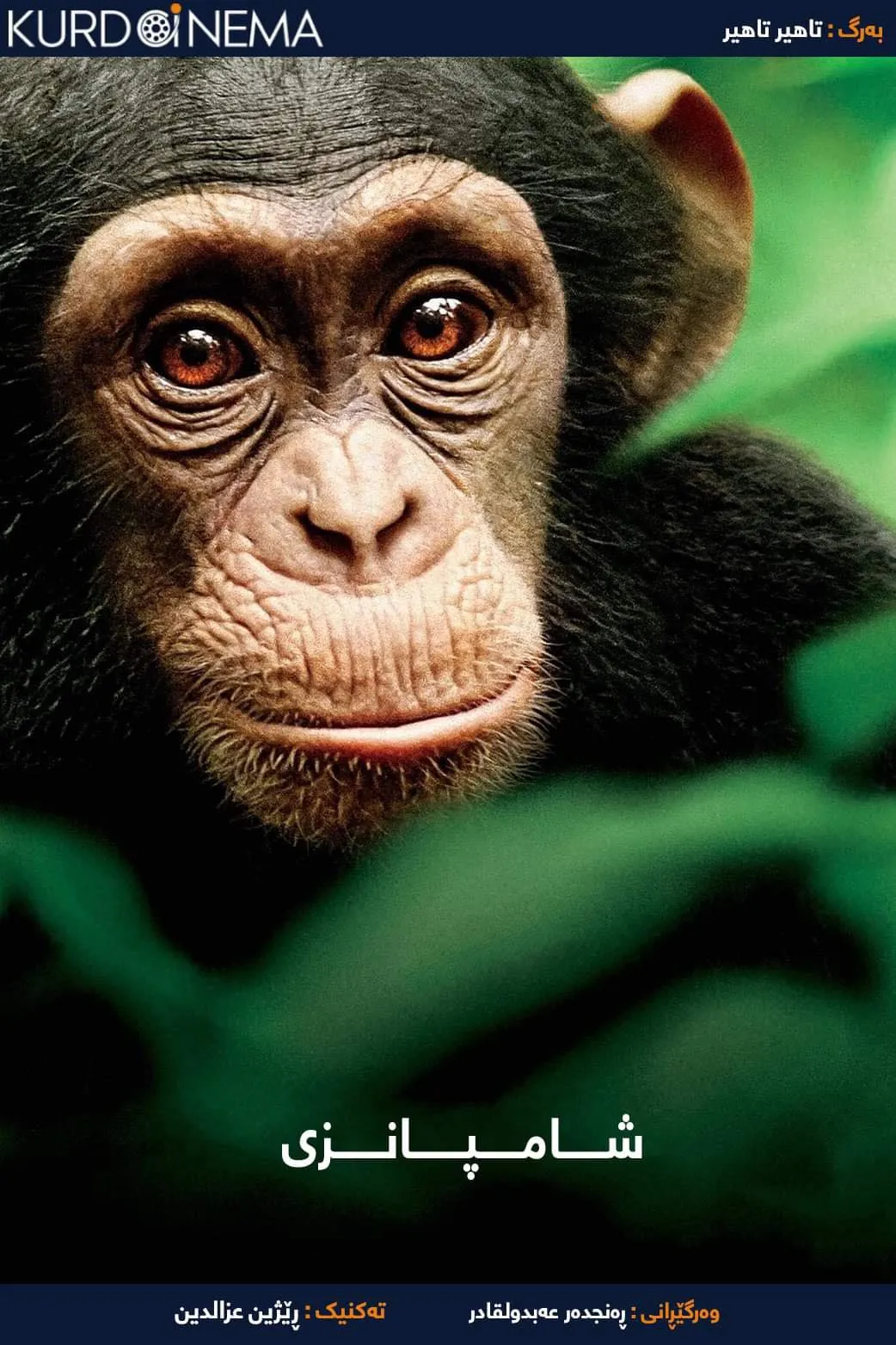 Chimpanzee (2012)