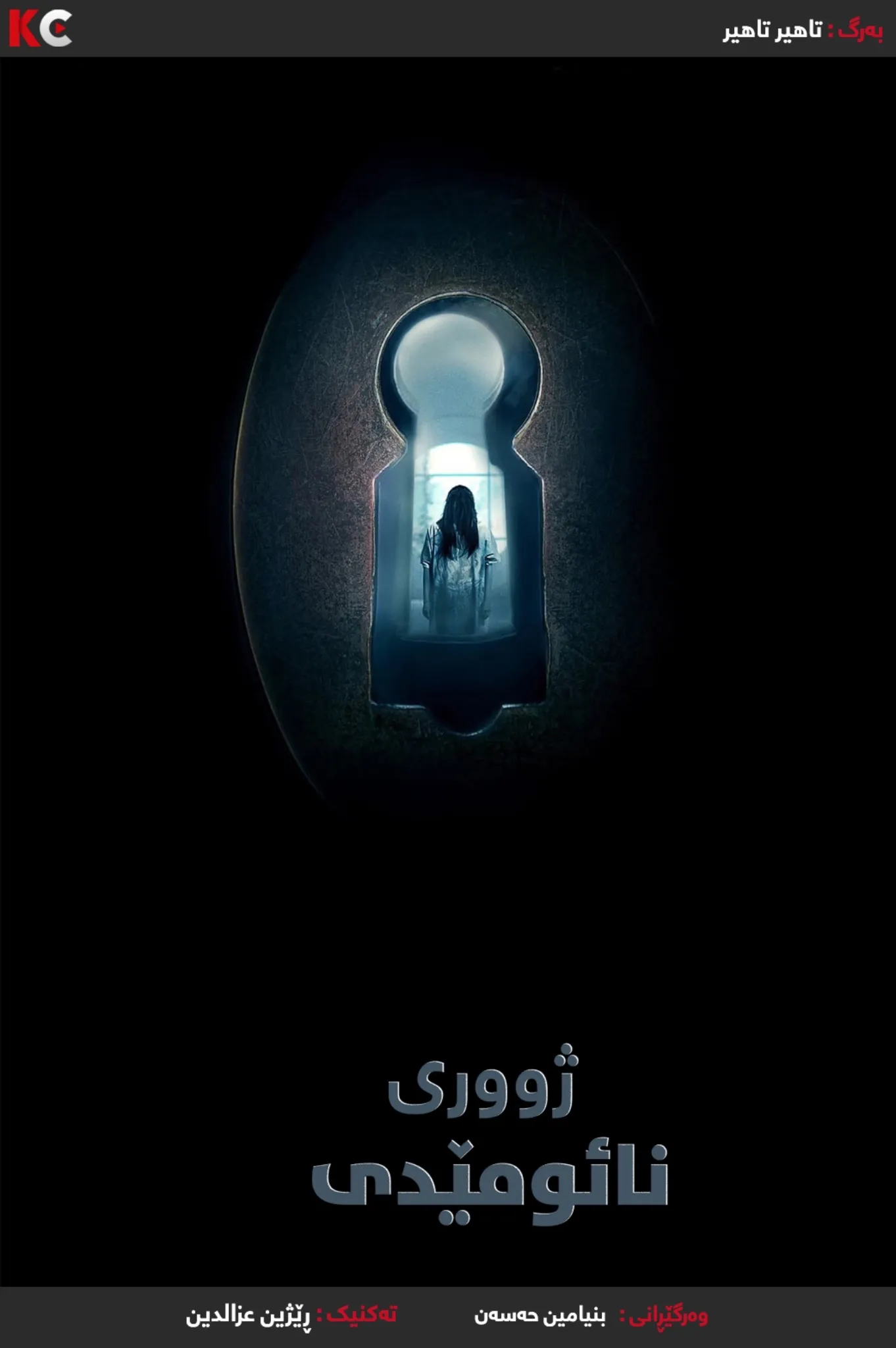 The Disappointments Room (2016)