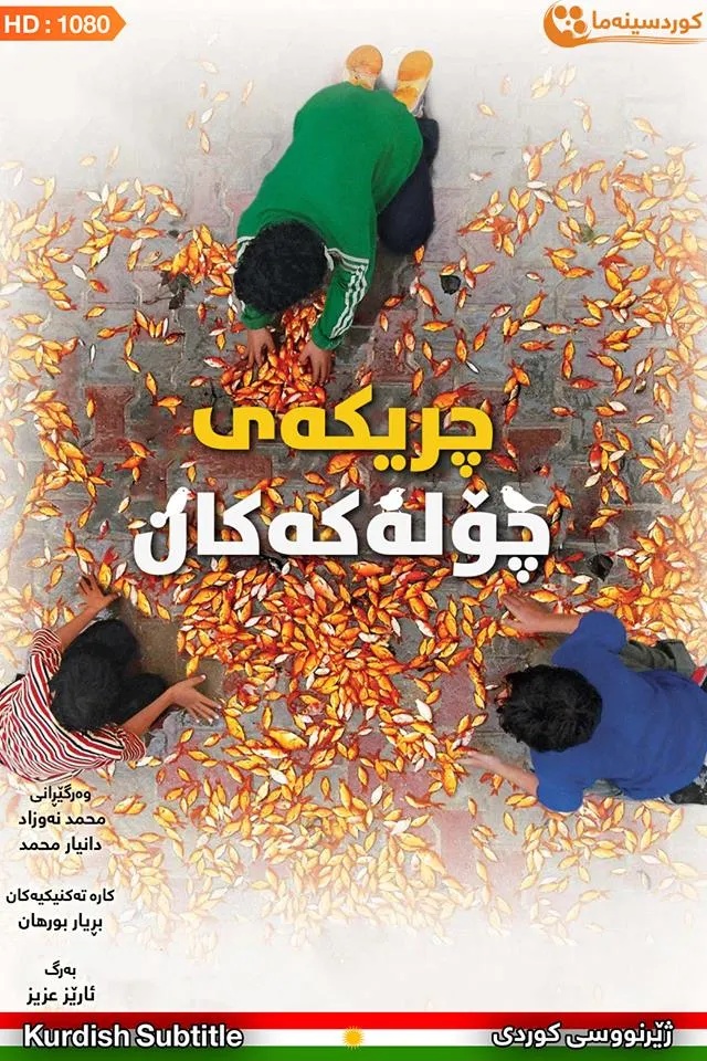 The Song of Sparrows (2008)