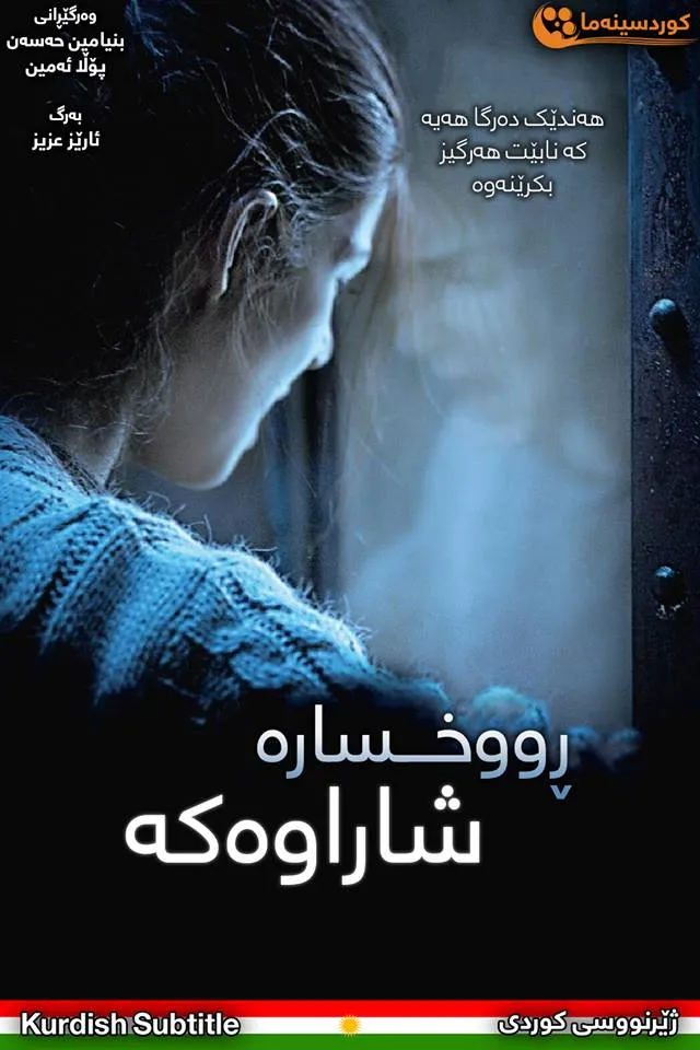 The Hidden Face (2011)