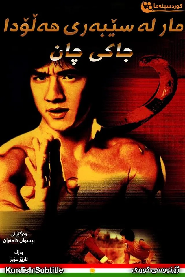 Snake in the Eagle's Shadow (1978)