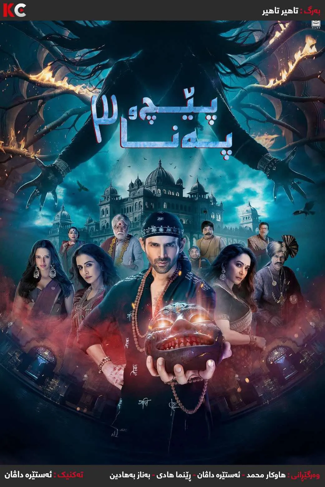 Bhool Bhulaiyaa 3 (2024)