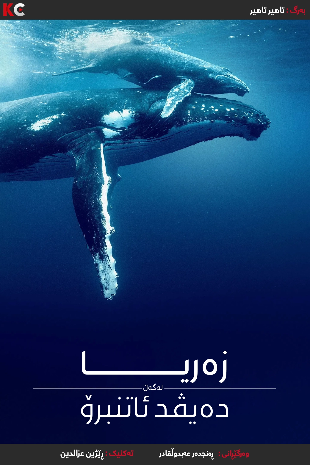 Ocean with David Attenborough (2025) 