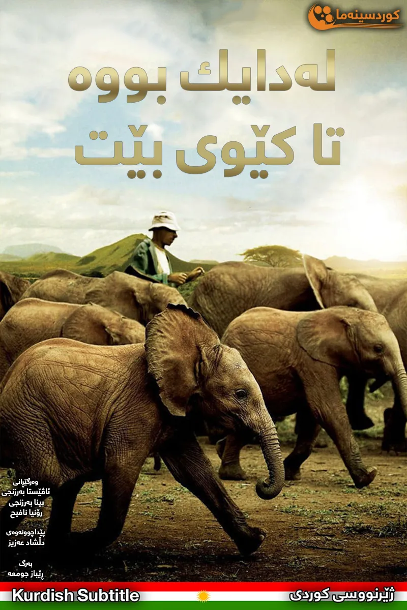  Born to Be Wild (2011)