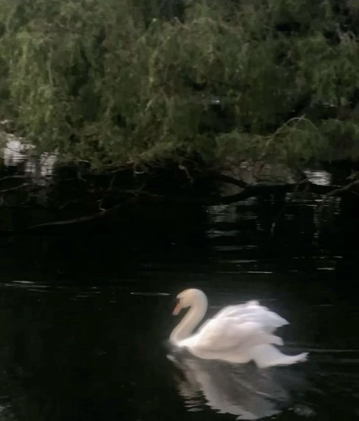 خەندە مەولود محمدامین