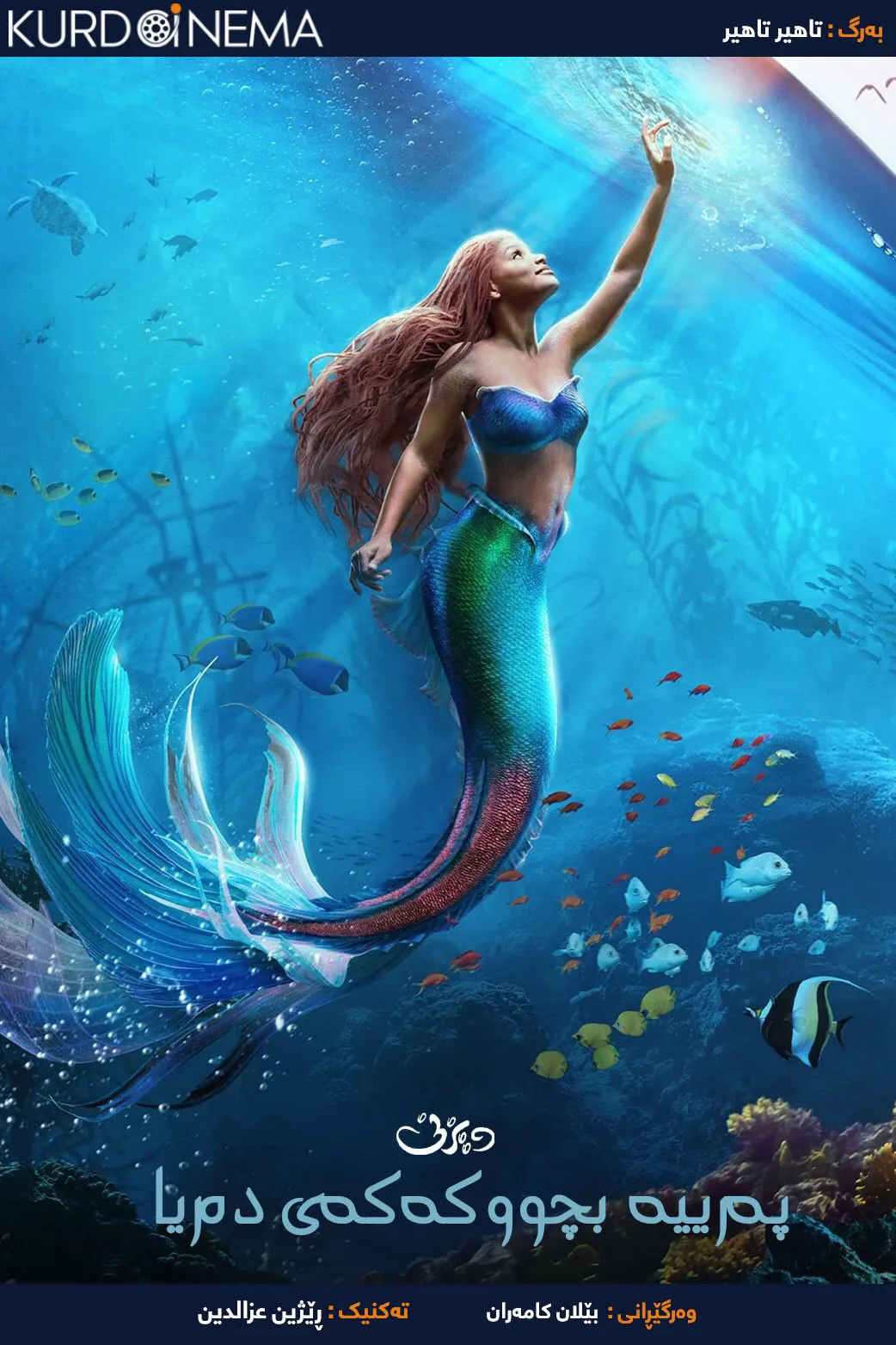 The Little Mermaid (2023)