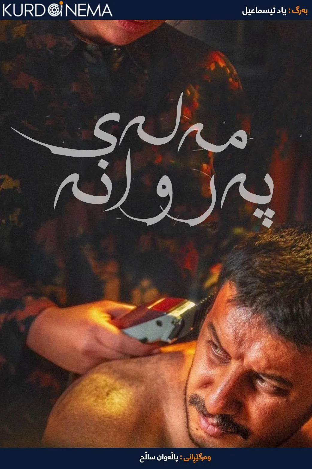 Shena-ye Parvaneh (2020)