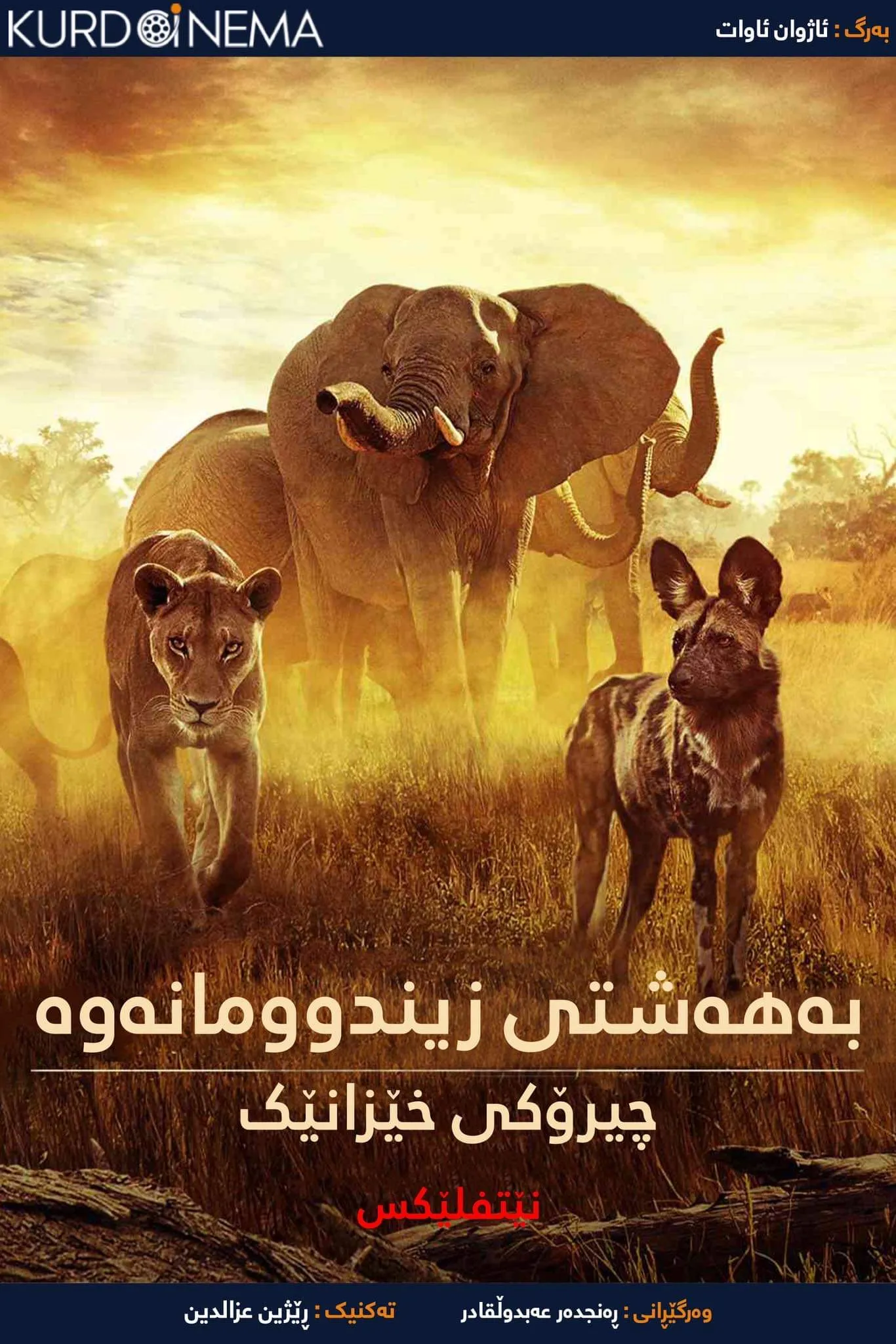 ‏Surviving Paradise: A Family Tale (2022)