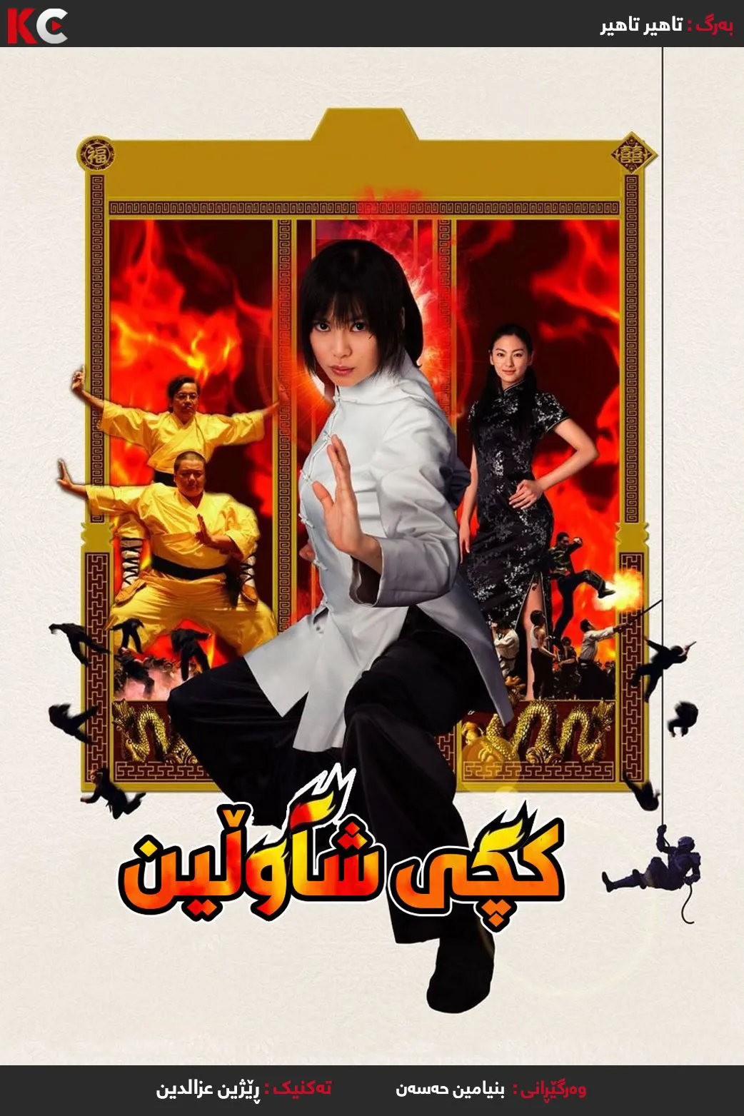Shaolin Girl (2008)