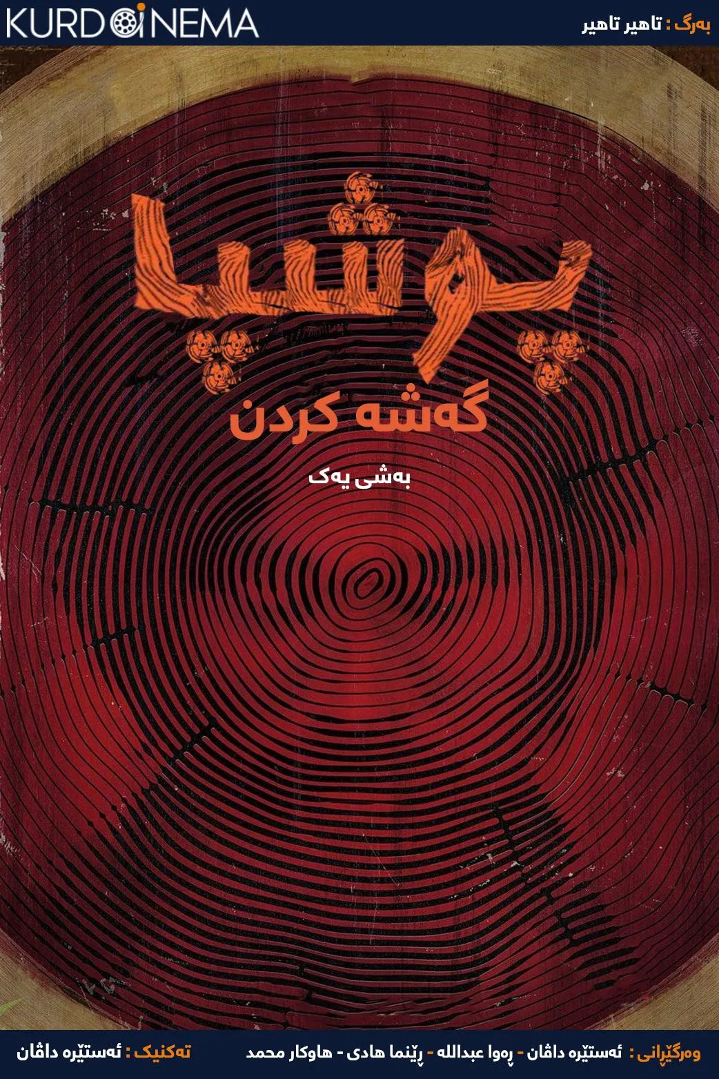 Pushpa: The Rise - Part 1 (2021)