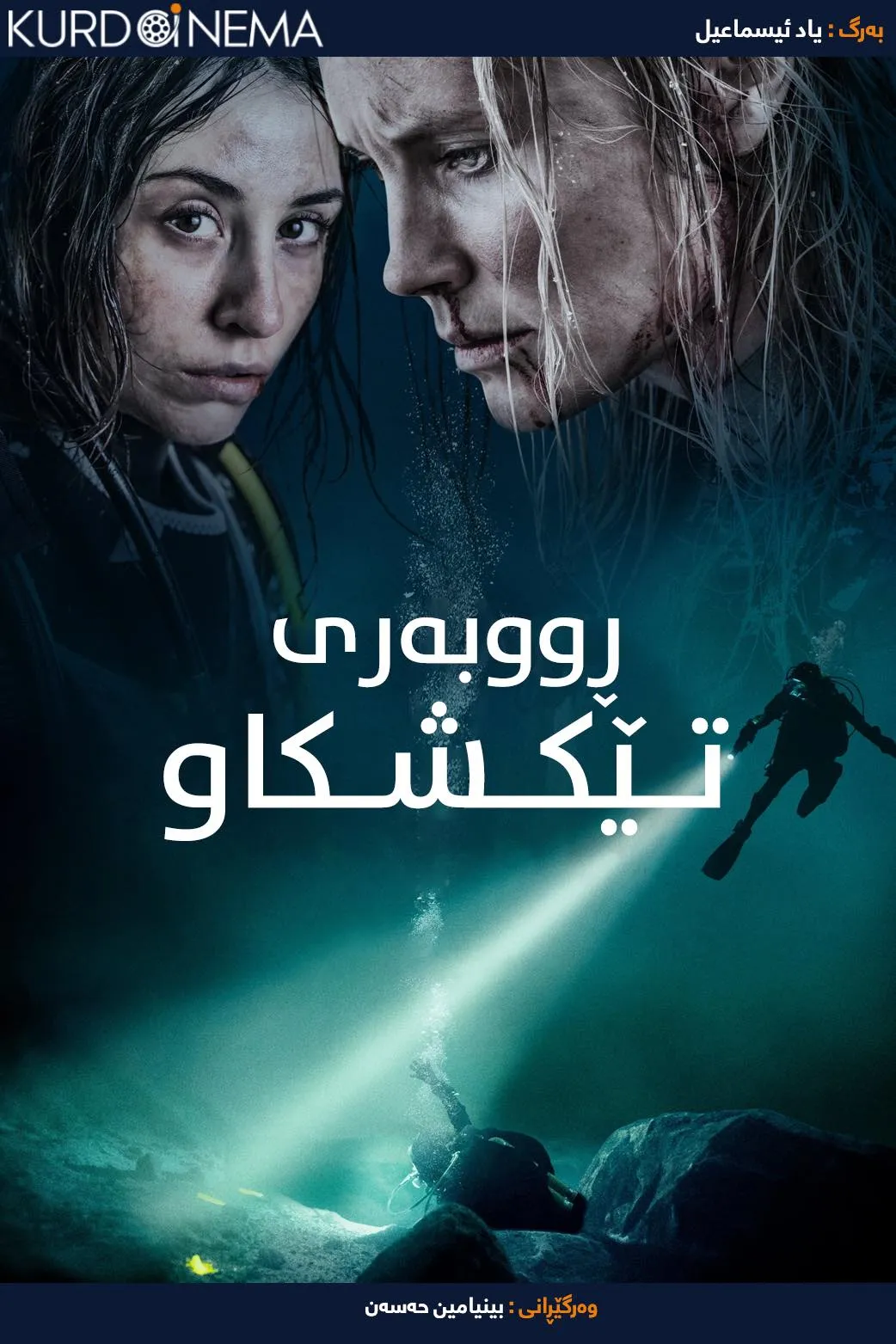 Breaking Surface (2020)