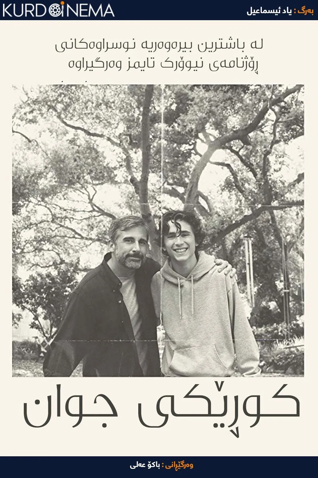 Beautiful Boy (2018)