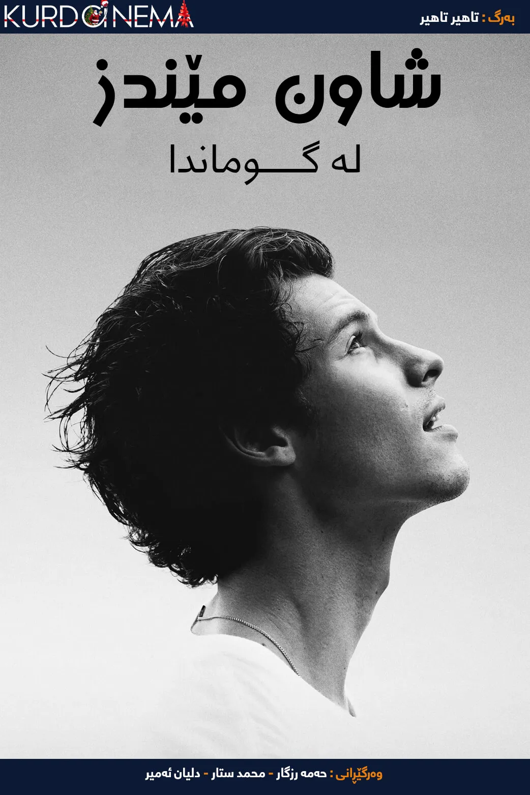 Shawn Mendes: In Wonder (2020)