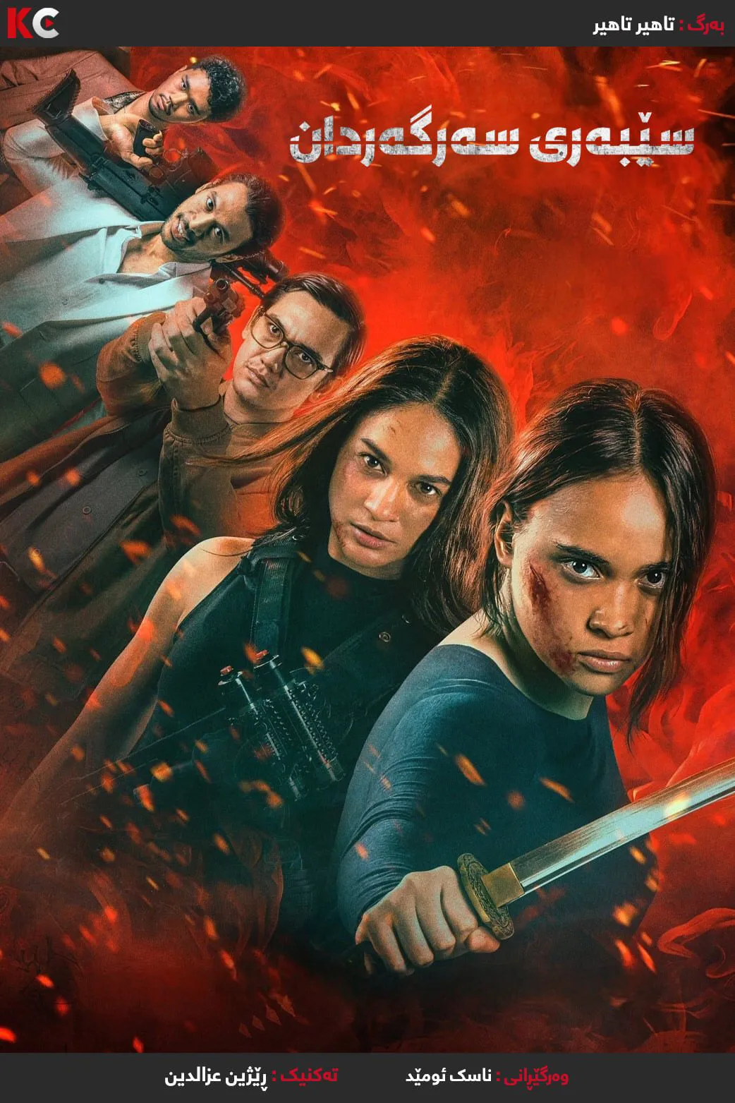 The Shadow Strays (2024)