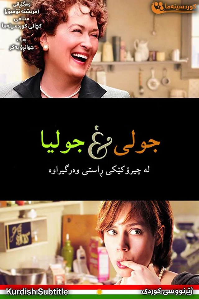 Julie & Julia (2009)