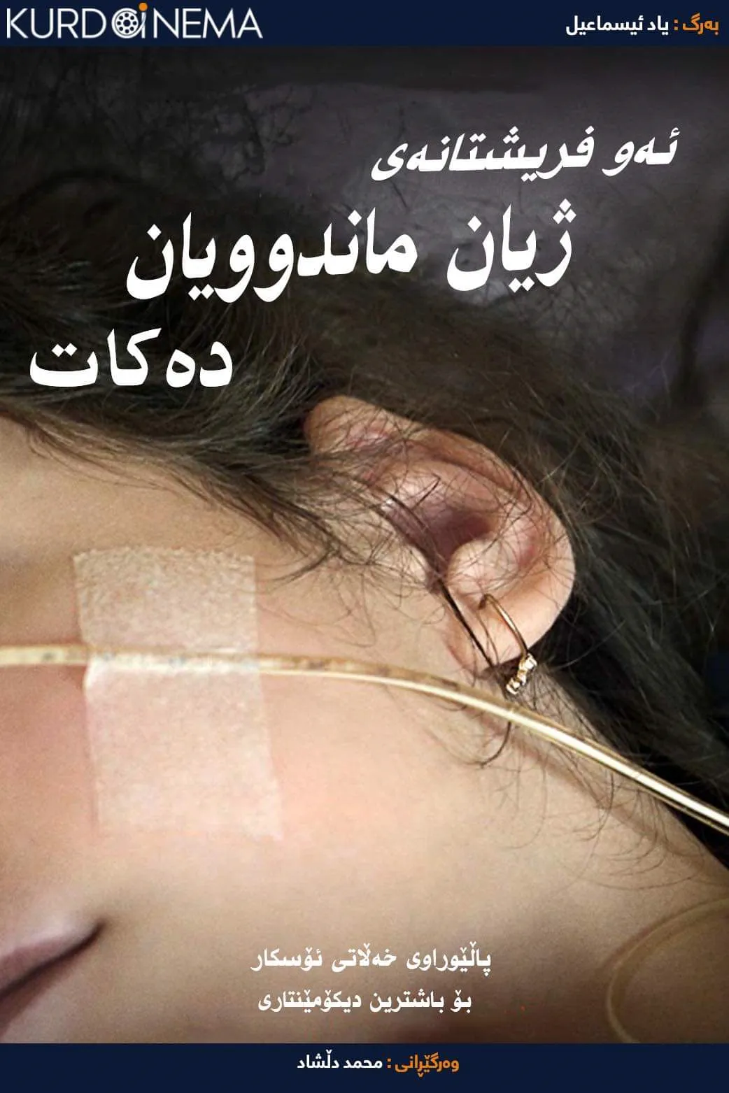 Life Overtakes Me (2019)