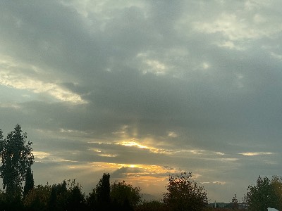 Shayno xalil Muhammad