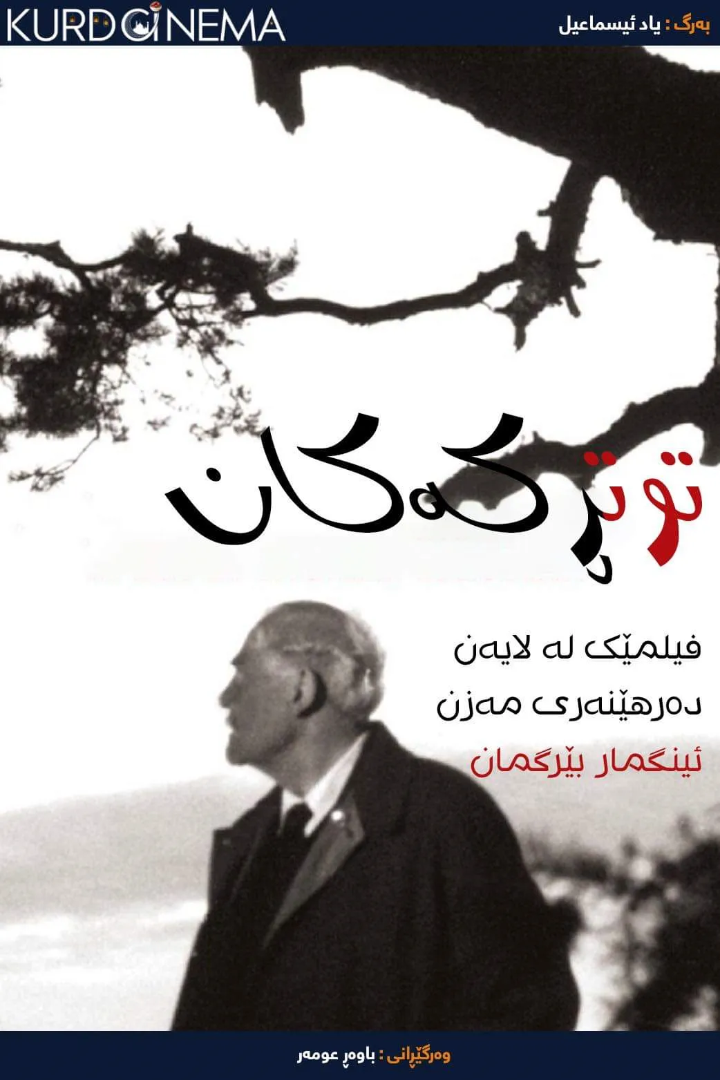 Wild Strawberries (1957)