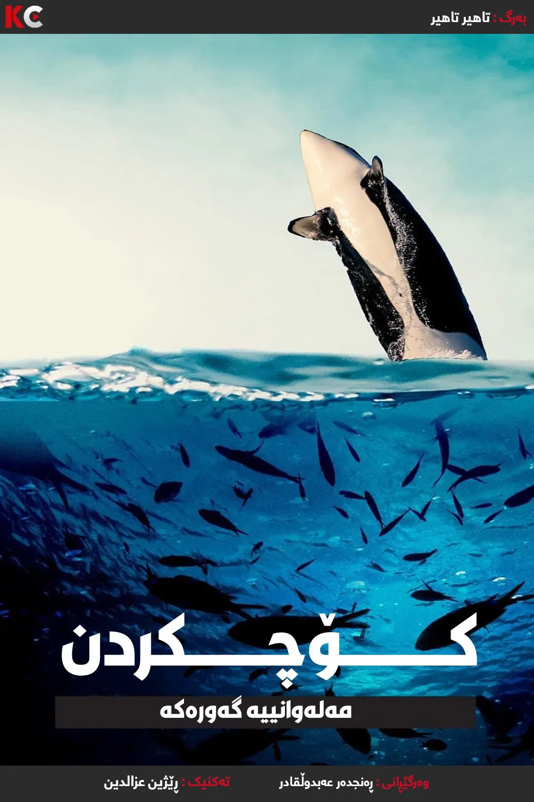 ‏Migrations: The Big Swim (2020)