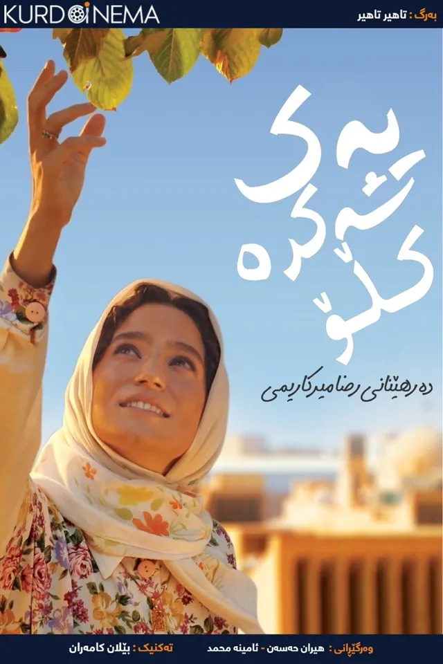 A Cube of Sugar (2011)