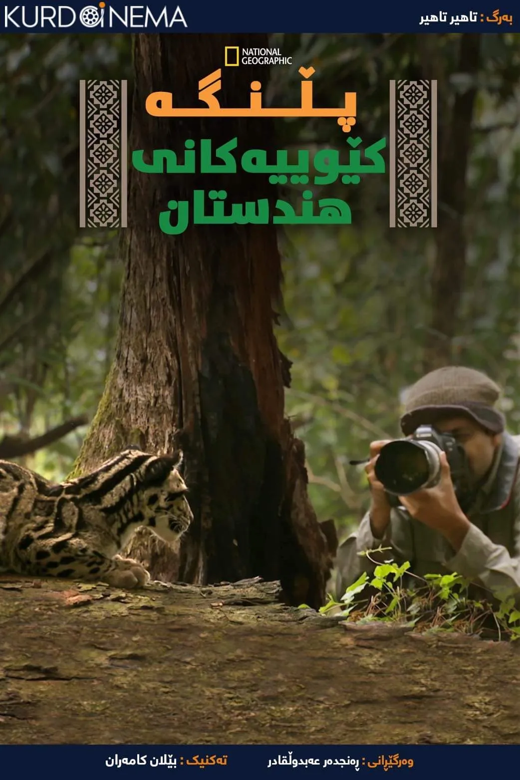 India's Wild Leopards (2020)