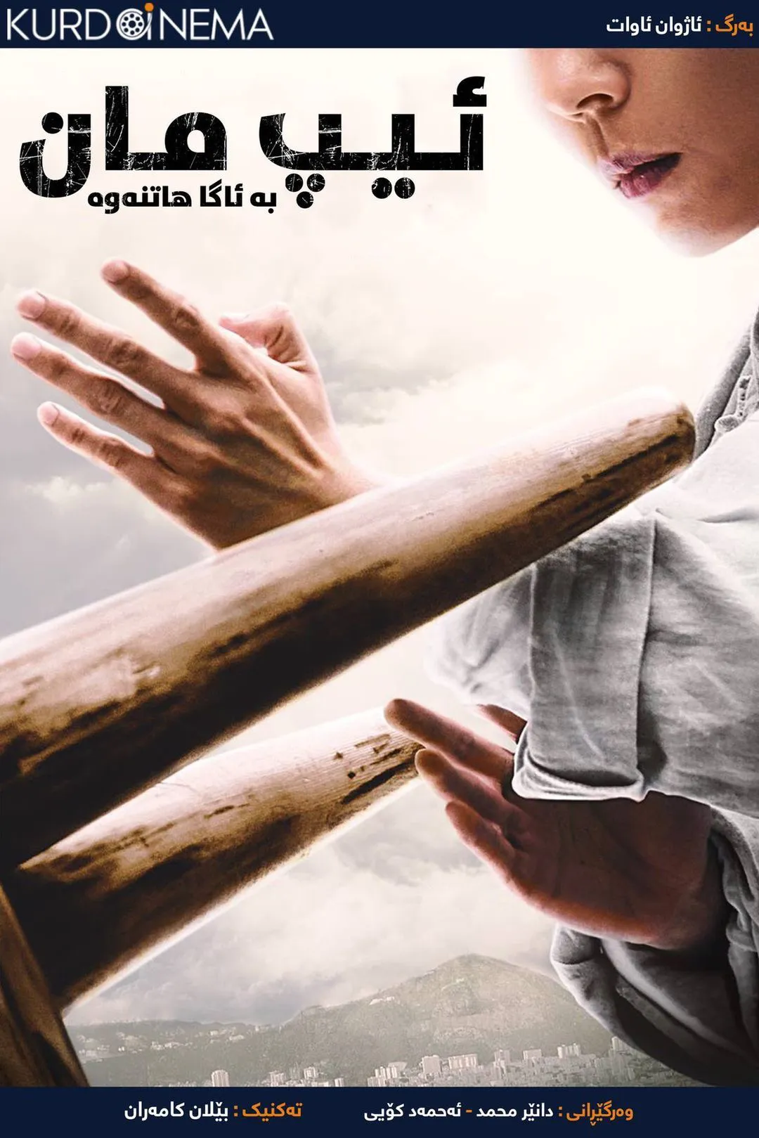 Ip Man: The Awakening (2022)