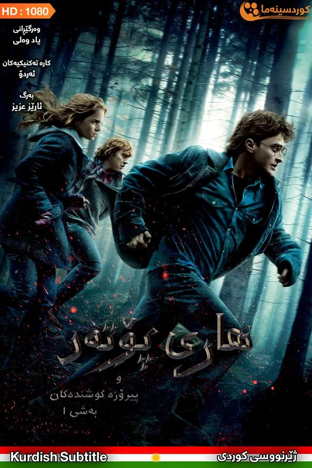 Harry Potter and the Deathly Hallows: Part 1 (2010)